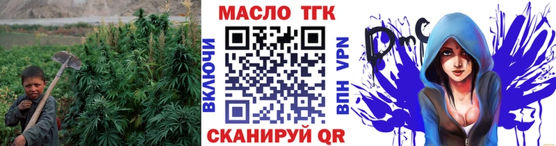 мега зеркало  Шебекино  ТГК THC oil  купить наркотики сайты 