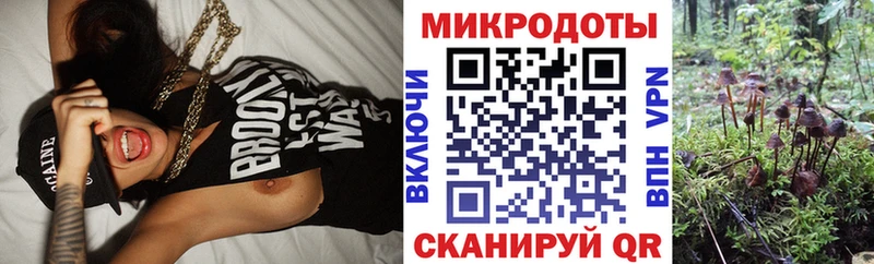 Псилоцибиновые грибы ЛСД  ОМГ ОМГ сайт  Шебекино  где можно купить  