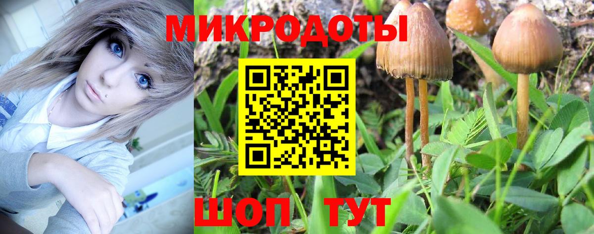 Шебекино  Псилоцибиновые грибы ЛСД  Вход с VPN 