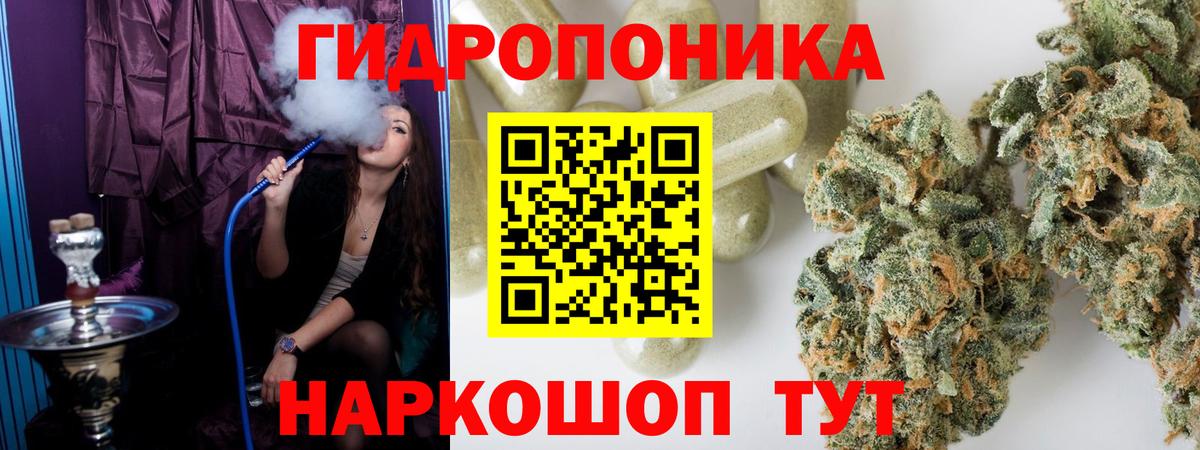 Бошки марихуана планчик Шебекино